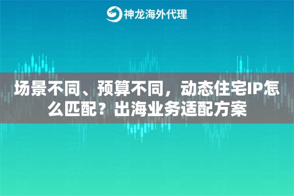 场景不同、预算不同，动态住宅IP怎么匹配？出海业务适配方案