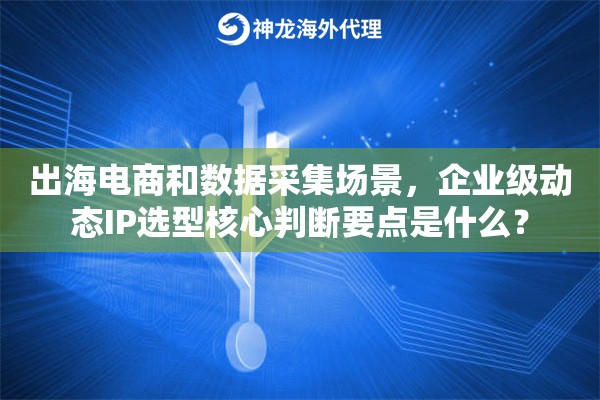 出海电商和数据采集场景，企业级动态IP选型核心判断要点是什么？