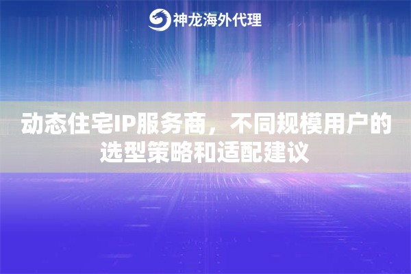 动态住宅IP服务商，不同规模用户的选型策略和适配建议