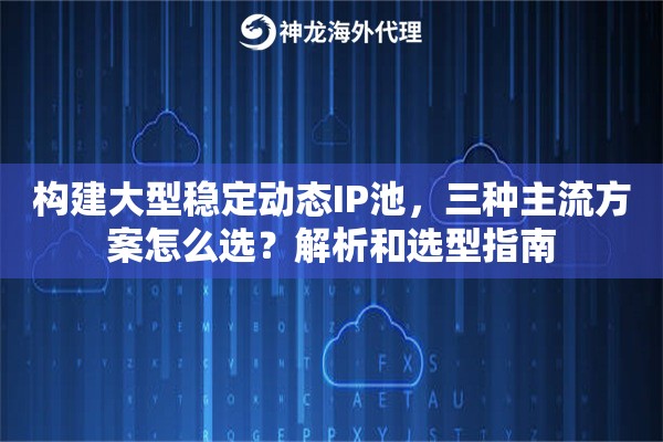 构建大型稳定动态IP池，三种主流方案怎么选？解析和选型指南