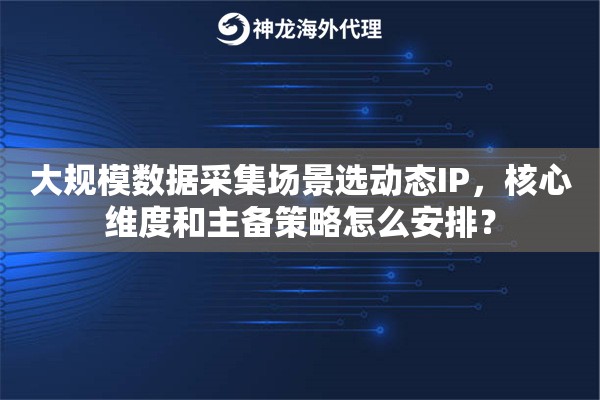 大规模数据采集场景选动态IP，核心维度和主备策略怎么安排？