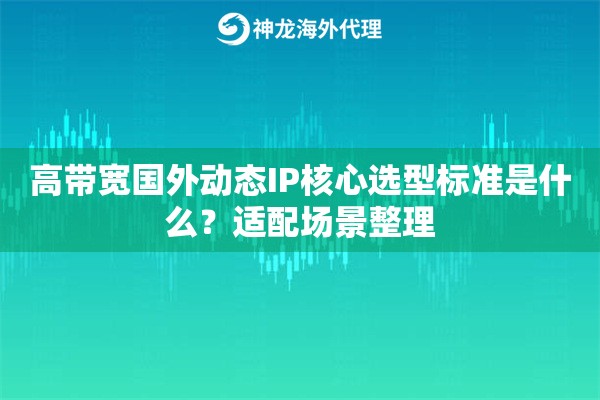 高带宽国外动态IP核心选型标准是什么？适配场景整理