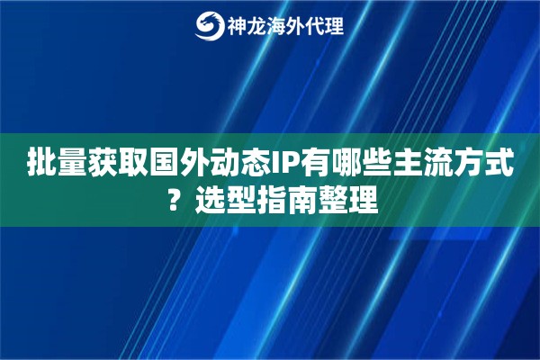 批量获取国外动态IP有哪些主流方式？选型指南整理