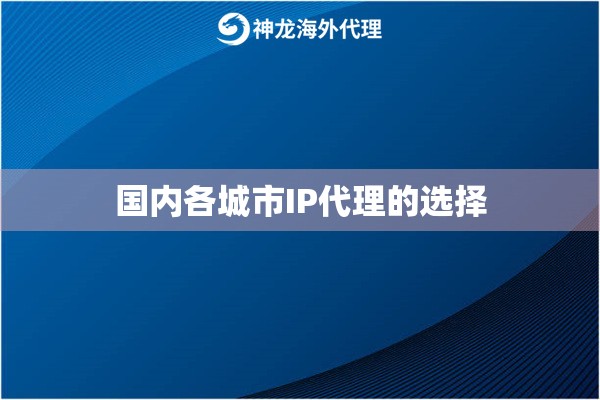 国内各城市IP代理的选择