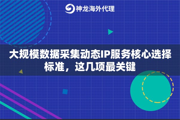 大规模数据采集动态IP服务核心选择标准，这几项最关键
