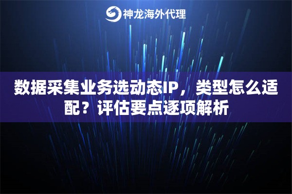 数据采集业务选动态IP，类型怎么适配？评估要点逐项解析