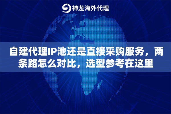 自建代理IP池还是直接采购服务,两条路怎么对比,选型参考在这里 自建代理IP池还是直接采购服务,两条路怎么对比,选型参考在这里