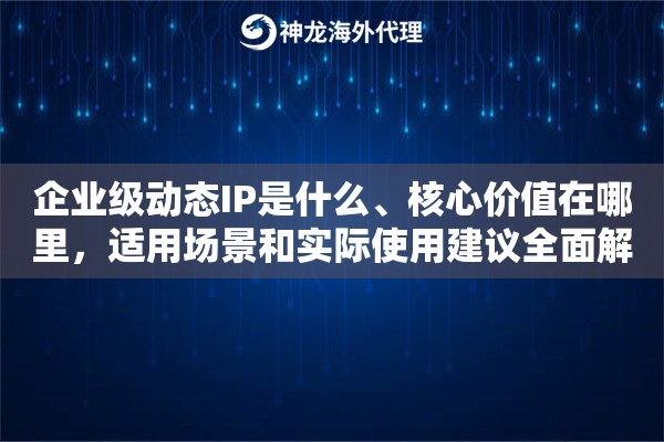 企业级动态IP是什么、核心价值在哪里，适用场景和实际使用建议全面解析