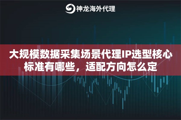 大规模数据采集场景代理IP选型核心标准有哪些，适配方向怎么定