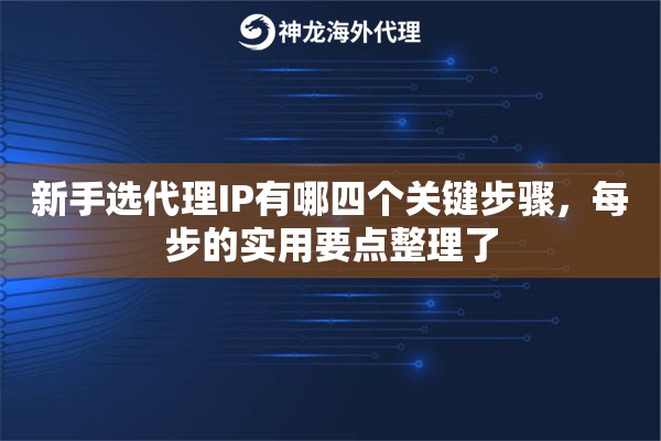 新手选代理IP有哪四个关键步骤，每步的实用要点整理了