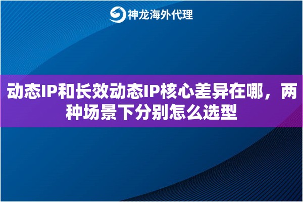 动态IP和长效动态IP核心差异在哪，两种场景下分别怎么选型