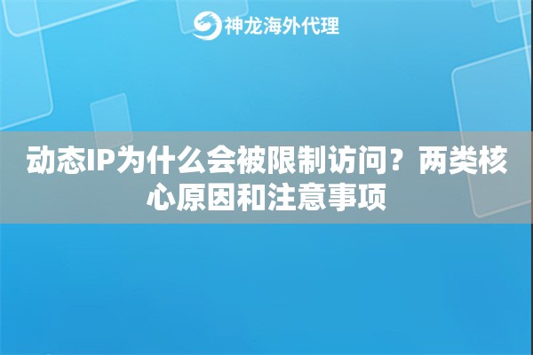 动态IP为什么会被限制访问？两类核心原因和注意事项