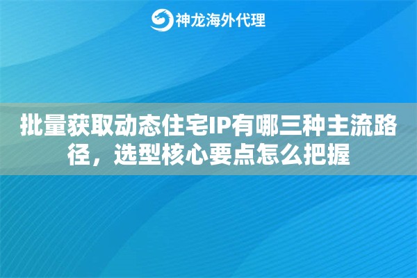 批量获取动态住宅IP有哪三种主流路径,选型核心要点怎么把握 批量获取动态住宅IP有哪三种主流路径,选型核心要点怎么把握