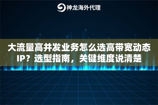 大流量高并发业务怎么选高带宽动态IP？选型指南，关键维度说清楚