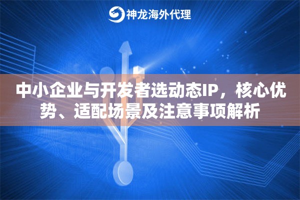 中小企业与开发者选动态IP，核心优势、适配场景及注意事项解析