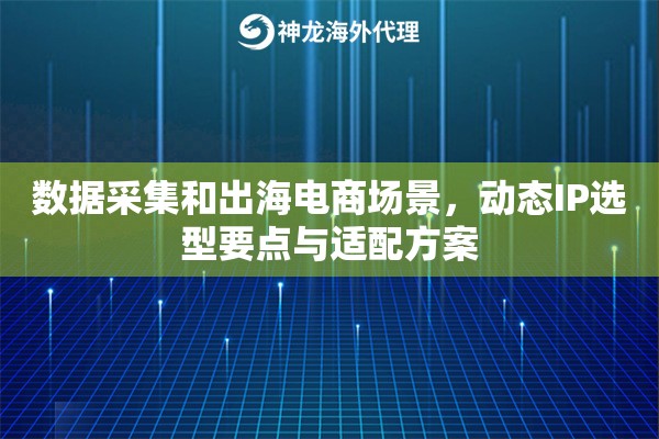 数据采集和出海电商场景,动态IP选型要点与适配方案 数据采集和出海电商场景,动态IP选型要点与适配方案