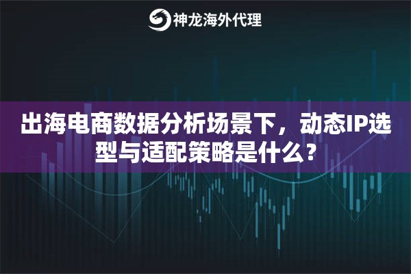 出海电商数据分析场景下，动态IP选型与适配策略是什么？