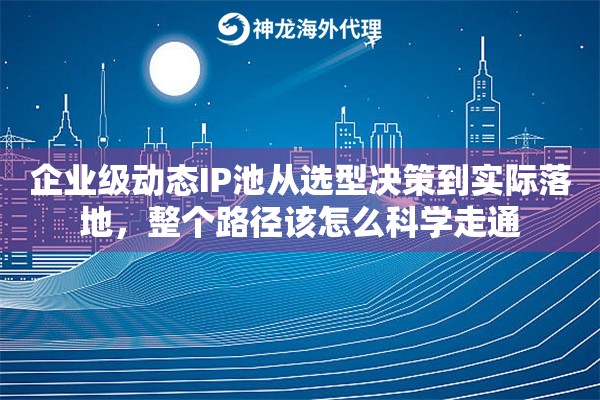 企业级动态IP池从选型决策到实际落地，整个路径该怎么科学走通