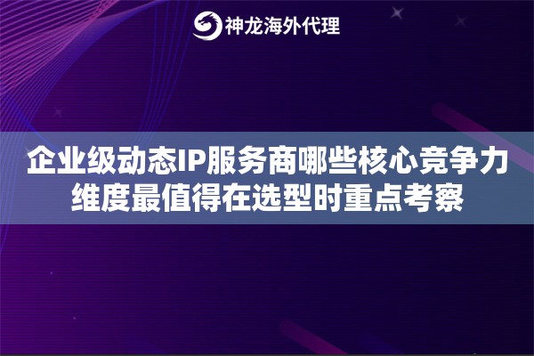 企业级动态IP服务商哪些核心竞争力维度最值得在选型时重点考察