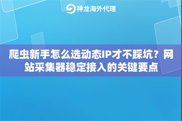 爬虫新手怎么选动态IP才不踩坑?网站采集器稳定接入的关键要点 爬虫新手怎么选动态IP才不踩坑?网站采集器稳定接入的关键要点