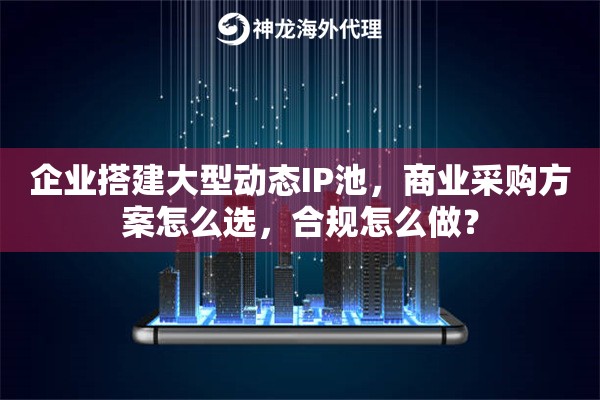 企业搭建大型动态IP池，商业采购方案怎么选，合规怎么做？