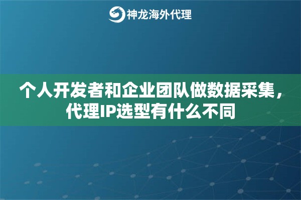 个人开发者和企业团队做数据采集，代理IP选型有什么不同