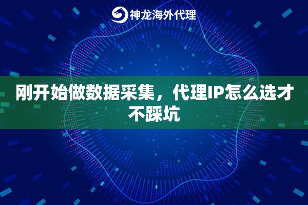 刚开始做数据采集,代理IP怎么选才不踩坑 刚开始做数据采集,代理IP怎么选才不踩坑
