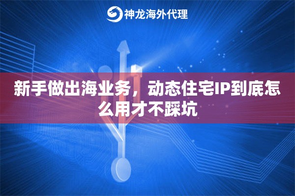 新手做出海业务，动态住宅IP到底怎么用才不踩坑