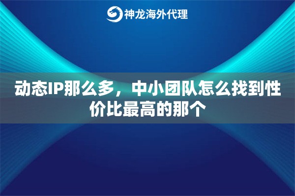 动态IP那么多，中小团队怎么找到性价比最高的那个