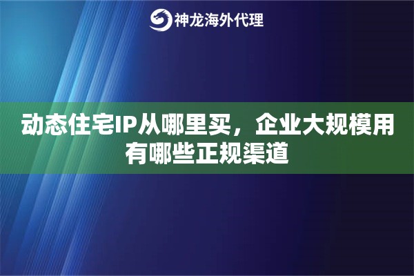 动态住宅IP从哪里买，企业大规模用有哪些正规渠道