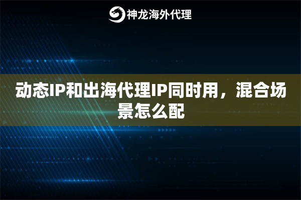 动态IP和出海代理IP同时用，混合场景怎么配