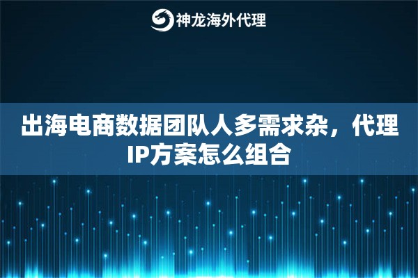 出海电商数据团队人多需求杂,代理IP方案怎么组合 出海电商数据团队人多需求杂,代理IP方案怎么组合