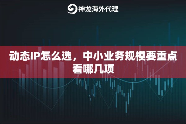 动态IP怎么选，中小业务规模要重点看哪几项
