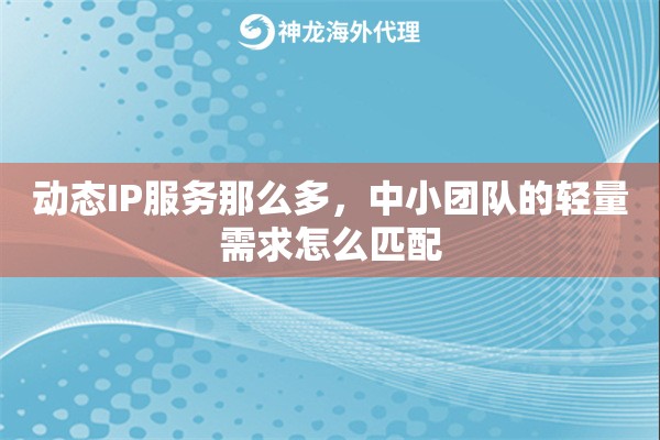 动态IP服务那么多，中小团队的轻量需求怎么匹配