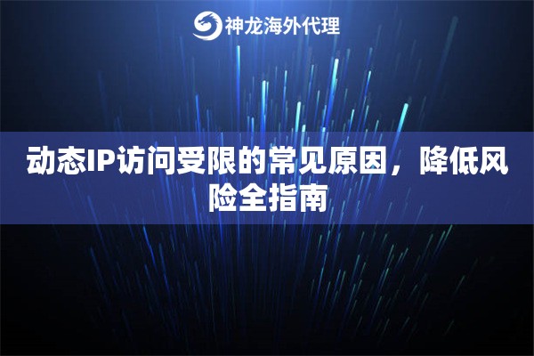动态IP访问受限的常见原因，降低风险全指南