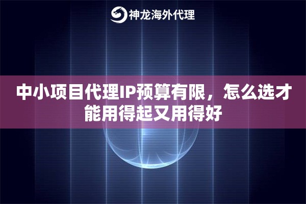 中小项目代理IP预算有限，怎么选才能用得起又用得好