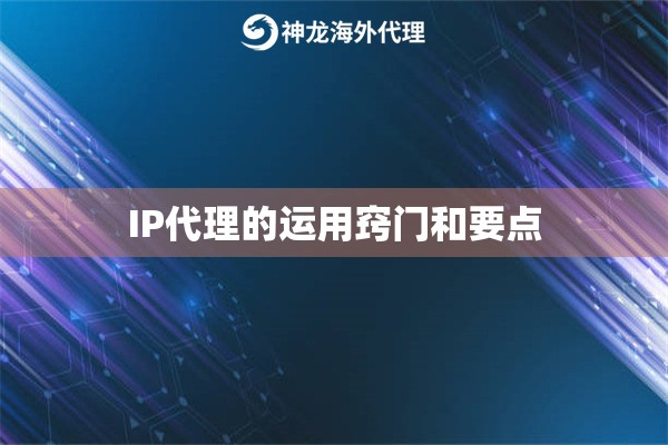 IP代理的运用窍门和要点