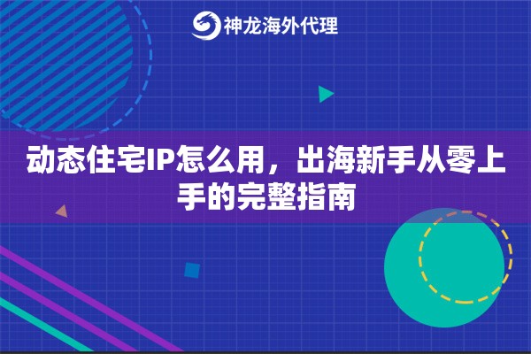 动态住宅IP怎么用,出海新手从零上手的完整指南 动态住宅IP怎么用,出海新手从零上手的完整指南