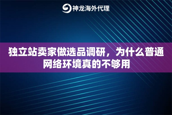 独立站卖家做选品调研，为什么普通网络环境真的不够用