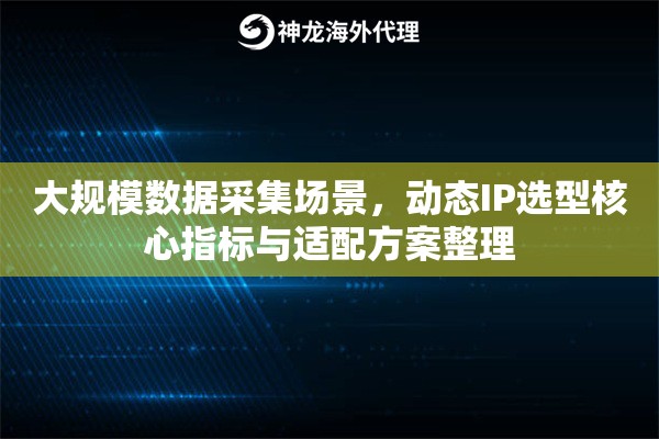 大规模数据采集场景，动态IP选型核心指标与适配方案整理