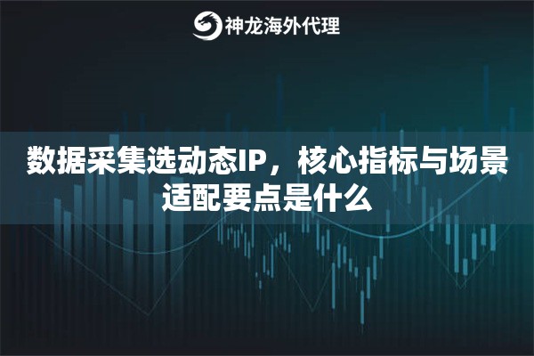 数据采集选动态IP，核心指标与场景适配要点是什么