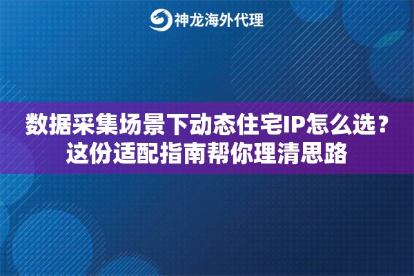 数据采集场景下动态住宅IP怎么选？这份适配指南帮你理清思路