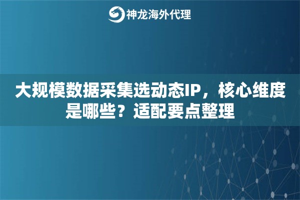 大规模数据采集选动态IP，核心维度是哪些？适配要点整理