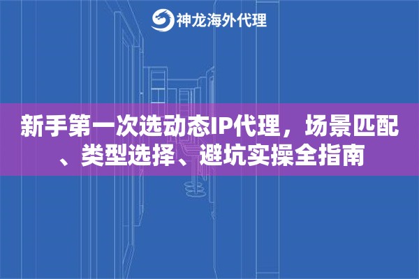 新手第一次选动态IP代理,场景匹配、类型选择、避坑实操全指南 新手第一次选动态IP代理,场景匹配、类型选择、避坑实操全指南