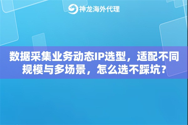 数据采集业务动态IP选型，适配不同规模与多场景，怎么选不踩坑？