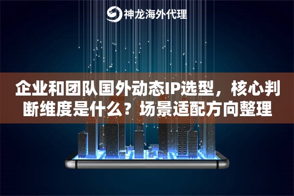 企业和团队国外动态IP选型，核心判断维度是什么？场景适配方向整理
