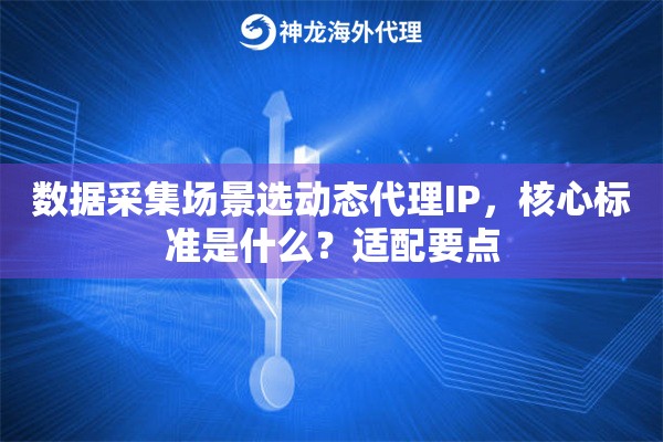 数据采集场景选动态代理IP，核心标准是什么？适配要点