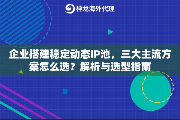 企业搭建稳定动态IP池，三大主流方案怎么选？解析与选型指南