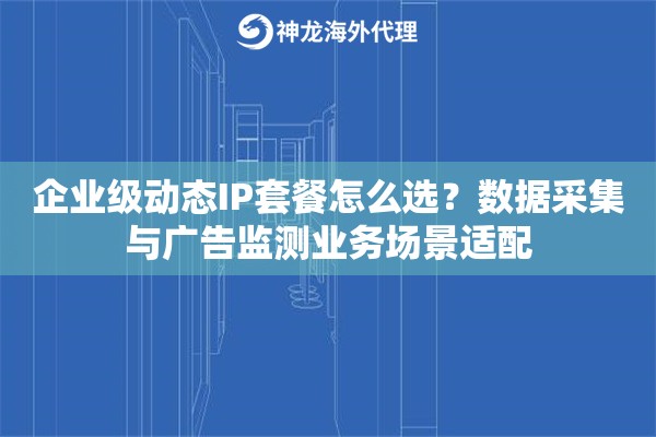 企业级动态IP套餐怎么选？数据采集与广告监测业务场景适配
