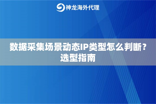 数据采集场景动态IP类型怎么判断？选型指南